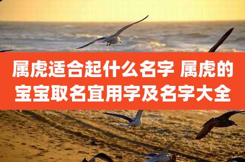 属虎适合起什么名字 属虎的宝宝取名宜用字及名字大全