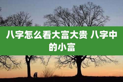 八字怎么看大富大贵 八字中的小富