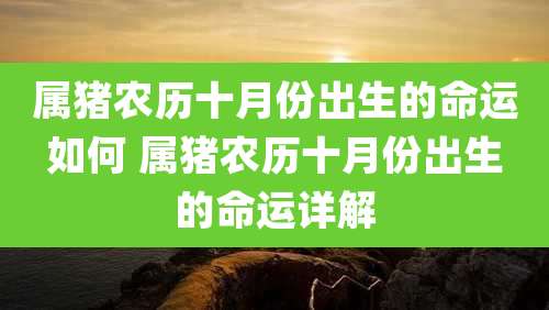 属猪农历十月份出生的命运如何 属猪农历十月份出生的命运详解