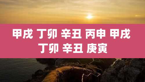 甲戌 丁卯 辛丑 丙申 甲戌 丁卯 辛丑 庚寅