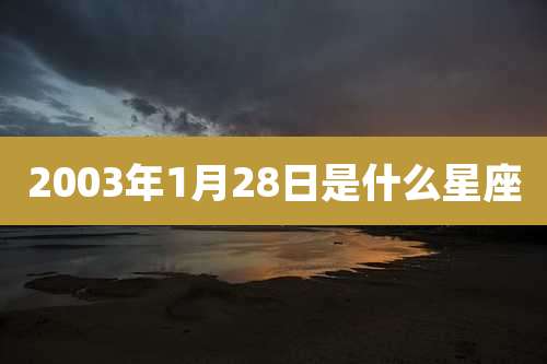 2003年1月28日是什么星座