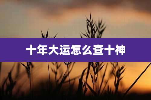 十年大运怎么查十神
