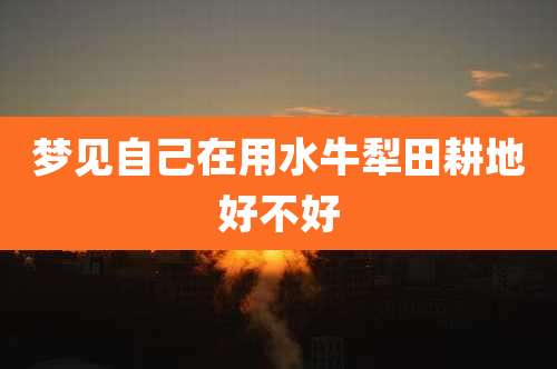 梦见自己在用水牛犁田耕地好不好