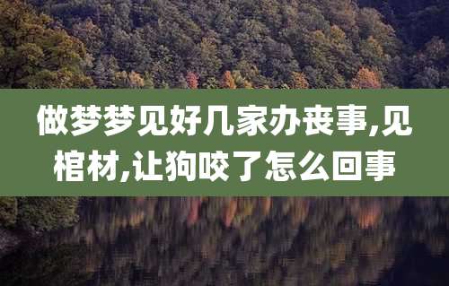 做梦梦见好几家办丧事,见棺材,让狗咬了怎么回事