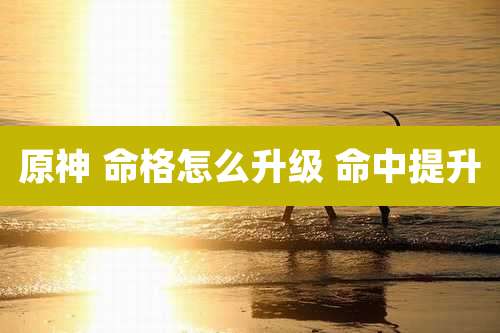 原神 命格怎么升级 命中提升