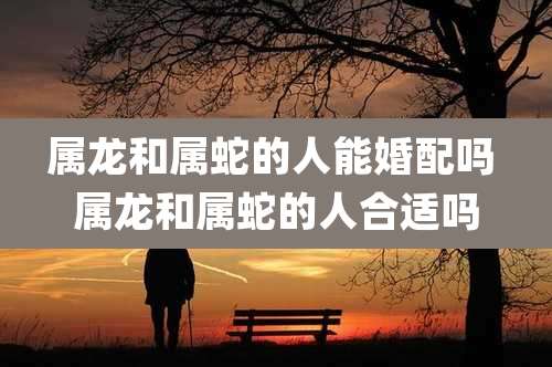 属龙和属蛇的人能婚配吗 属龙和属蛇的人合适吗