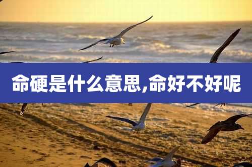 命硬是什么意思,命好不好呢