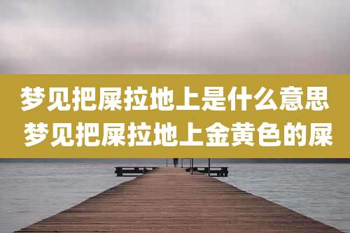 梦见把屎拉地上是什么意思 梦见把屎拉地上金黄色的屎