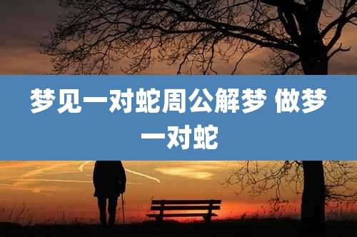 梦见一对蛇周公解梦 做梦一对蛇