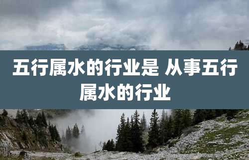 五行属水的行业是 从事五行属水的行业