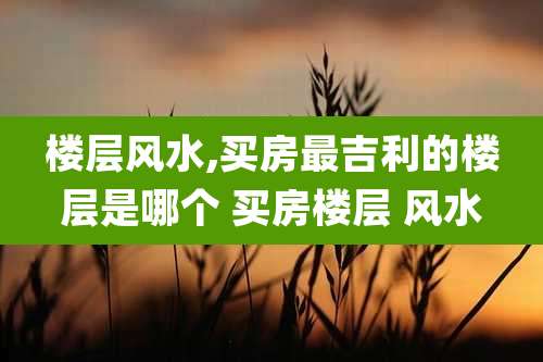 楼层风水,买房最吉利的楼层是哪个 买房楼层 风水