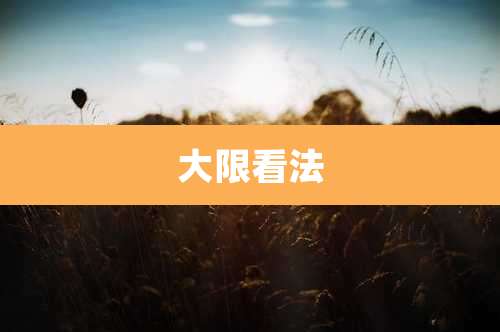 大限看法