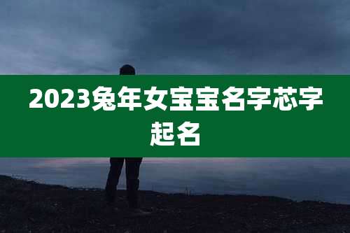 2023兔年女宝宝名字芯字起名