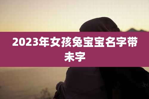 2023年女孩兔宝宝名字带未字