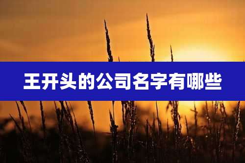 王开头的公司名字有哪些