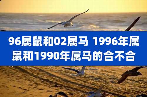 96属鼠和02属马 1996年属鼠和1990年属马的合不合