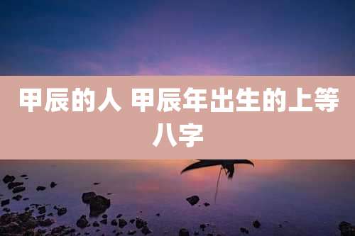 甲辰的人 甲辰年出生的上等八字