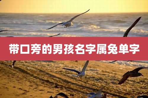 带口旁的男孩名字属兔单字