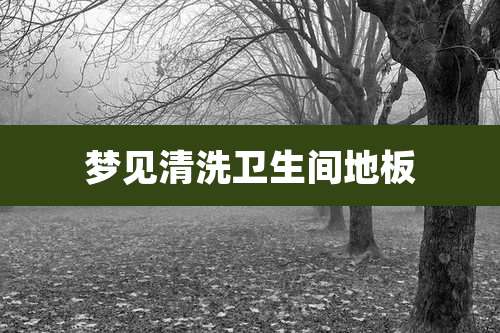 梦见清洗卫生间地板