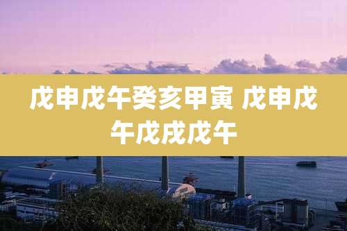 戊申戊午癸亥甲寅 戊申戊午戊戌戊午