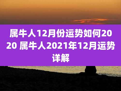 属牛人12月份运势如何2020 属牛人2021年12月运势详解