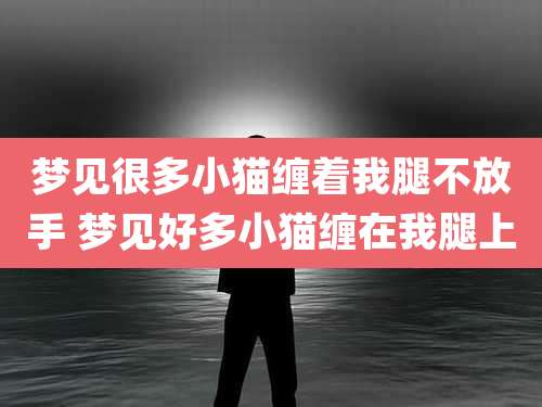 梦见很多小猫缠着我腿不放手 梦见好多小猫缠在我腿上