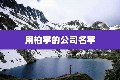 用柏字的公司名字
