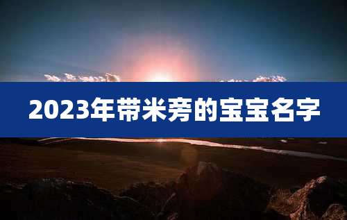 2023年带米旁的宝宝名字