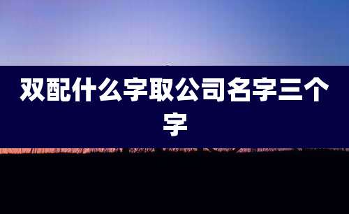 双配什么字取公司名字三个字