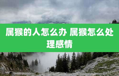 属猴的人怎么办 属猴怎么处理感情