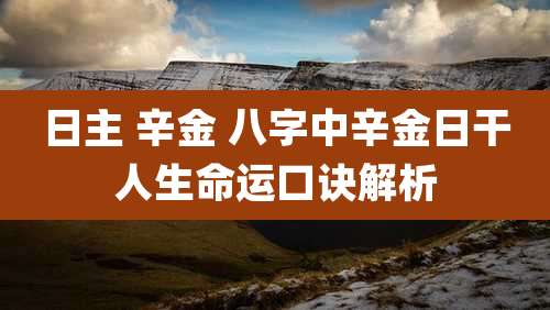 日主 辛金 八字中辛金日干人生命运口诀解析