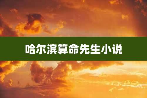 哈尔滨算命先生小说