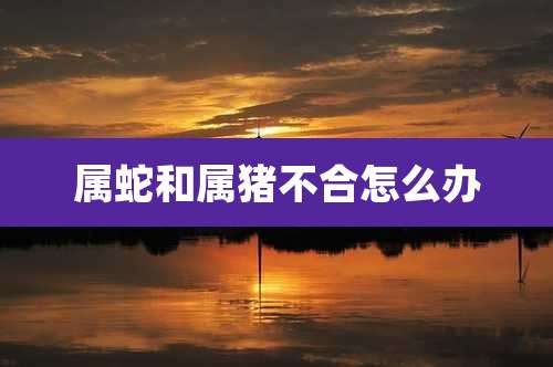 属蛇和属猪不合怎么办