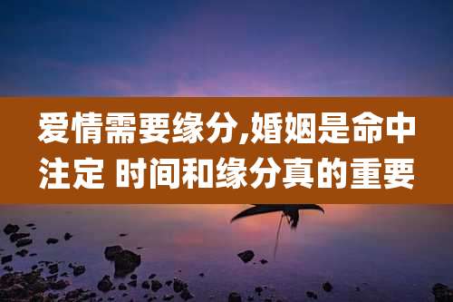 爱情需要缘分,婚姻是命中注定 时间和缘分真的重要