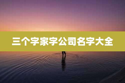 三个字家字公司名字大全