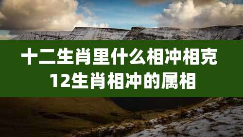 十二生肖里什么相冲相克 12生肖相冲的属相