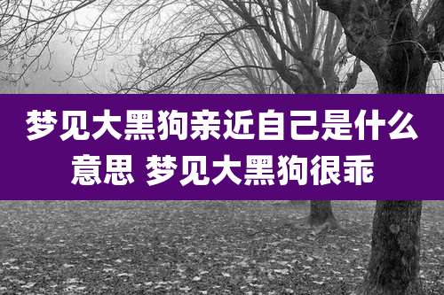 梦见大黑狗亲近自己是什么意思 梦见大黑狗很乖
