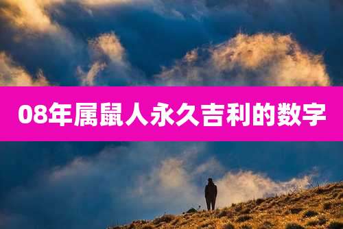 08年属鼠人永久吉利的数字