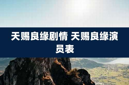 天赐良缘剧情 天赐良缘演员表