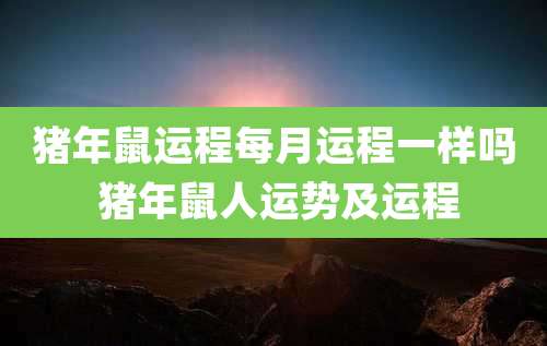 猪年鼠运程每月运程一样吗 猪年鼠人运势及运程