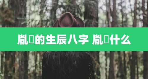 胤礽的生辰八字 胤禛什么