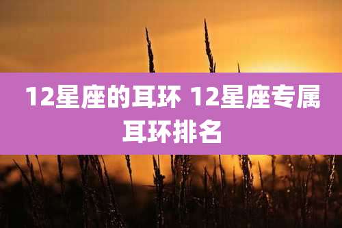 12星座的耳环 12星座专属耳环排名
