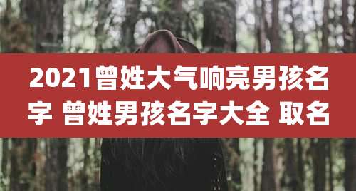 2021曾姓大气响亮男孩名字 曾姓男孩名字大全 取名