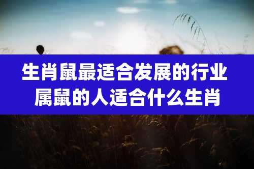 生肖鼠最适合发展的行业 属鼠的人适合什么生肖