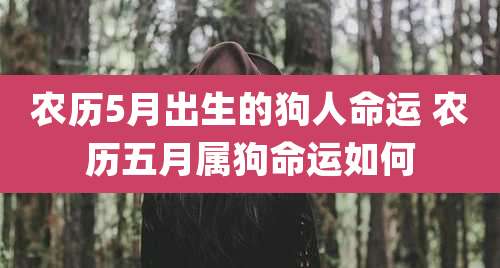 农历5月出生的狗人命运 农历五月属狗命运如何
