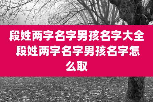 段姓两字名字男孩名字大全 段姓两字名字男孩名字怎么取