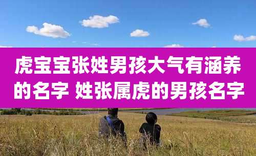 虎宝宝张姓男孩大气有涵养的名字 姓张属虎的男孩名字