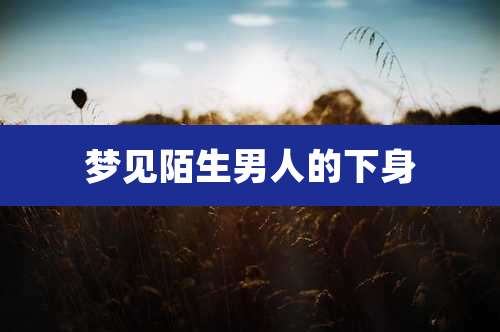 梦见陌生男人的下身