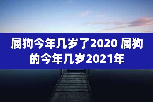 属狗今年几岁了2020 属狗的今年几岁2021年