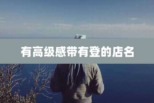 有高级感带有登的店名